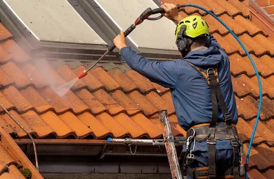 Démoussage et hydrofuge de toiture à Damparis